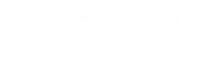 Microsoft Partner