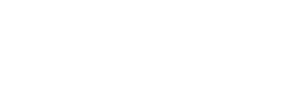 WordPress Partner